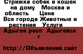 Стрижка собак и кошек на дому.  Москва и область.  › Цена ­ 1 200 - Все города Животные и растения » Услуги   . Адыгея респ.,Адыгейск г.